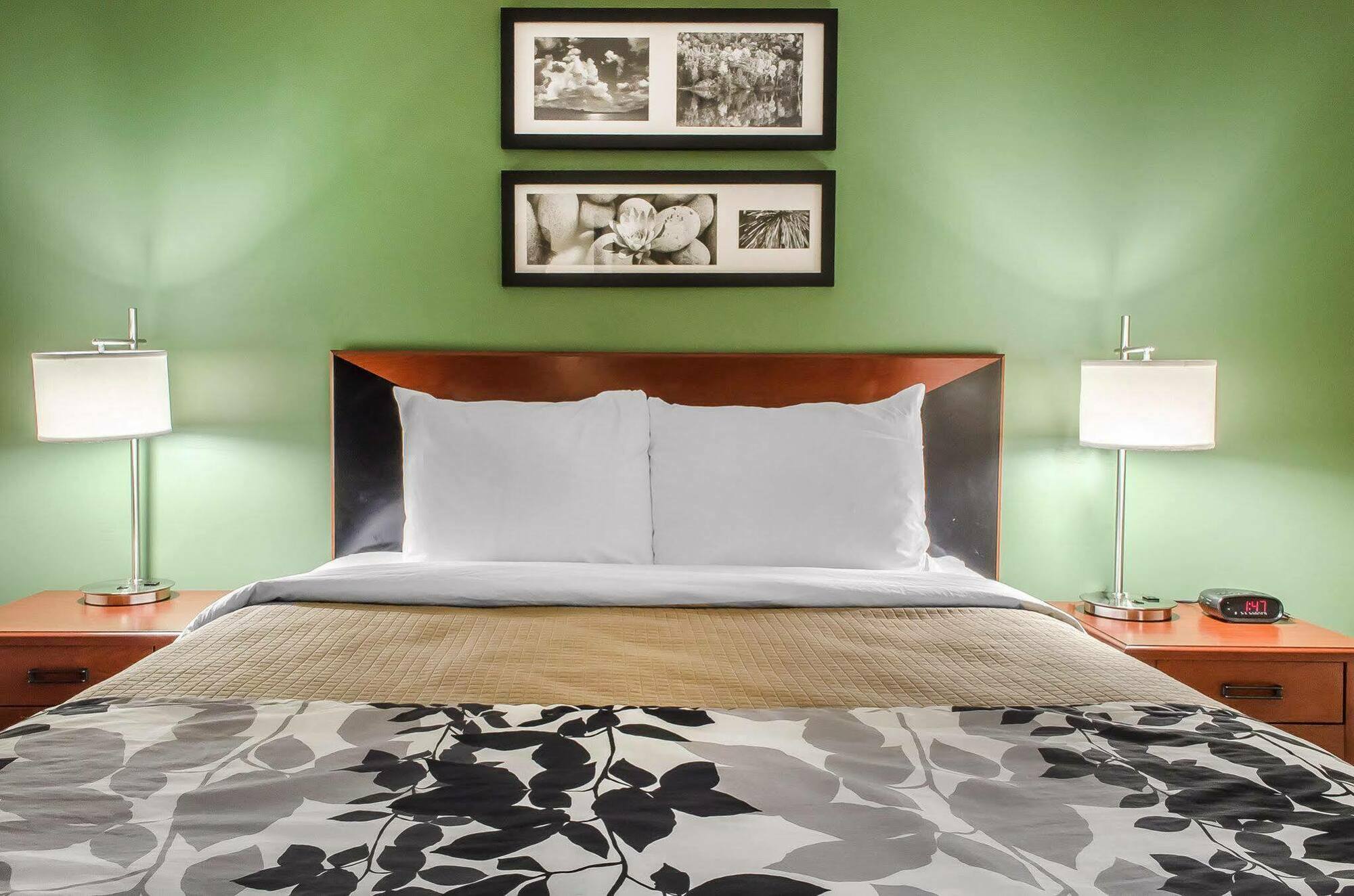 Sleep Inn Near Penn State - State College, Pa Екстер'єр фото
